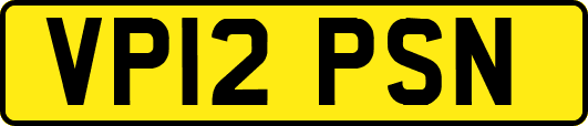 VP12PSN