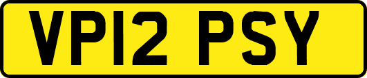 VP12PSY