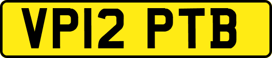 VP12PTB