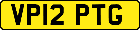 VP12PTG