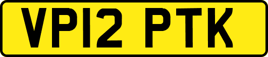 VP12PTK