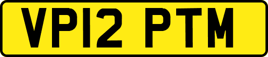 VP12PTM