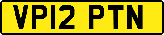 VP12PTN