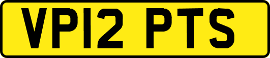 VP12PTS