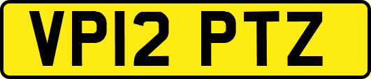 VP12PTZ