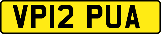 VP12PUA