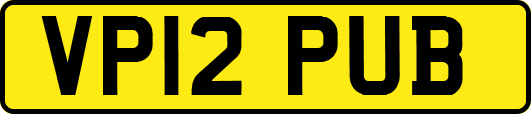 VP12PUB