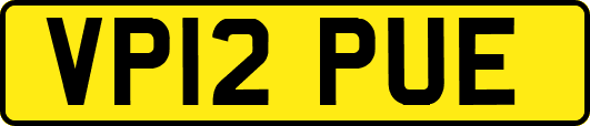 VP12PUE