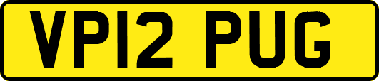 VP12PUG