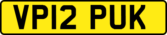 VP12PUK