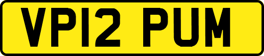 VP12PUM
