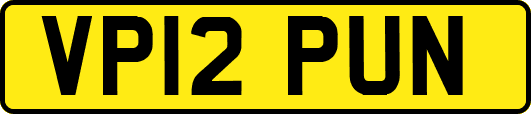 VP12PUN