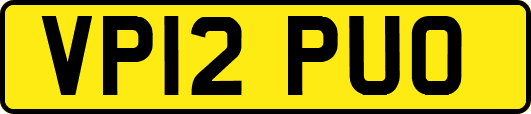 VP12PUO