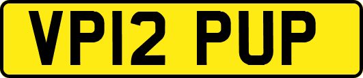 VP12PUP