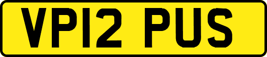 VP12PUS