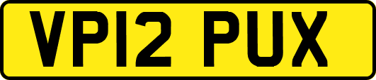 VP12PUX