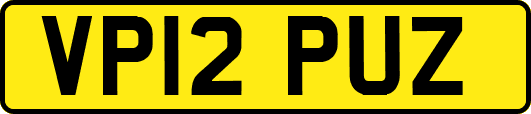 VP12PUZ