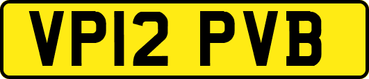 VP12PVB