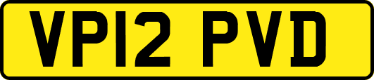 VP12PVD