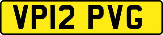 VP12PVG