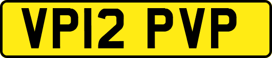VP12PVP