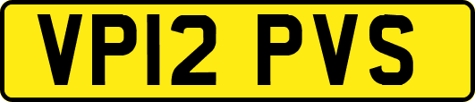 VP12PVS