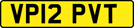 VP12PVT