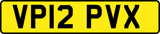 VP12PVX