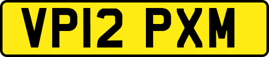 VP12PXM