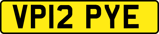 VP12PYE