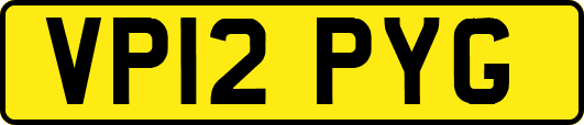VP12PYG