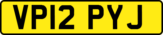 VP12PYJ
