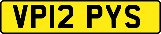 VP12PYS