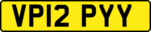 VP12PYY