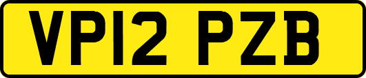 VP12PZB