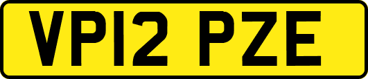 VP12PZE