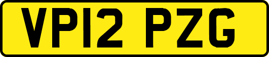 VP12PZG