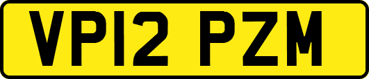 VP12PZM
