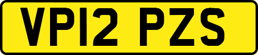 VP12PZS