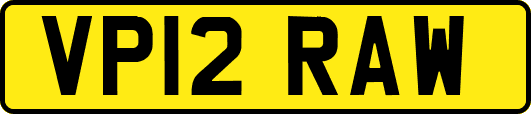 VP12RAW