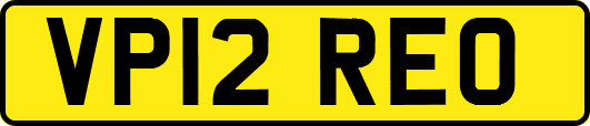 VP12REO