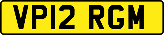 VP12RGM