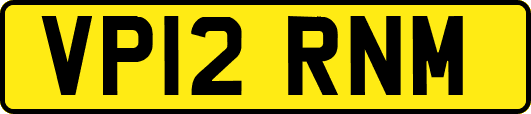 VP12RNM