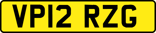VP12RZG