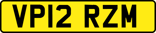 VP12RZM
