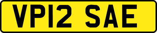 VP12SAE