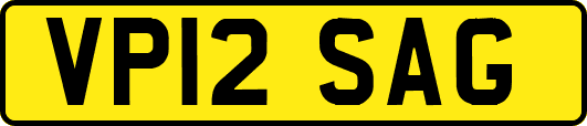 VP12SAG