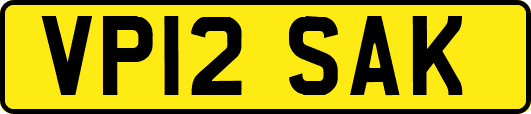 VP12SAK