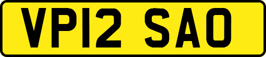 VP12SAO