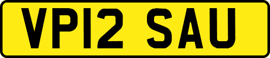 VP12SAU